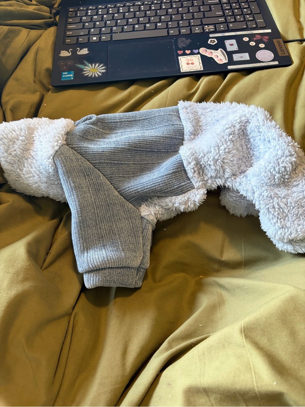 Gray Sherpa-Lined dog outfit Unbranded